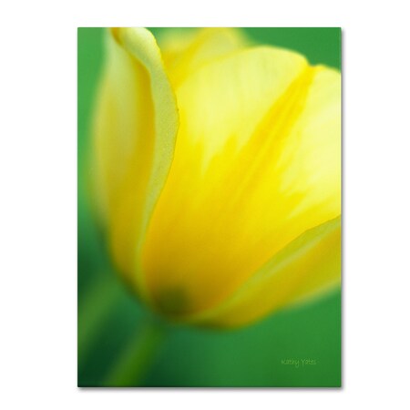 Kathy Yates 'Hint Of A Tulip' Canvas Art,14x19